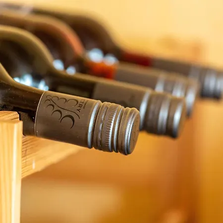 Haus Zum Rochusberg 2